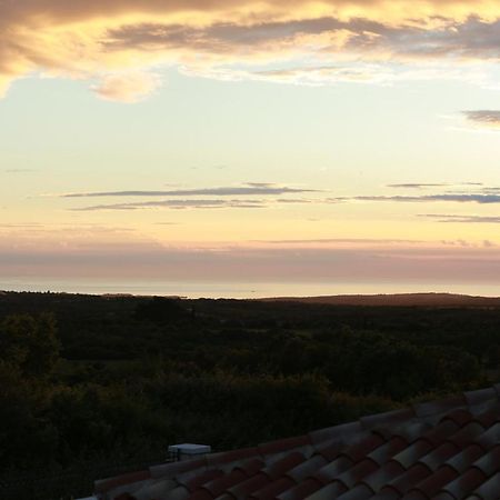 Barat  Villa Carolus-Luxurious Istrian Villa מראה חיצוני תמונה