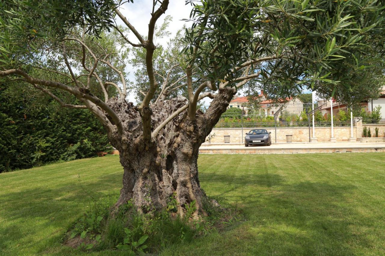 Barat  Villa Carolus-Luxurious Istrian Villa מראה חיצוני תמונה